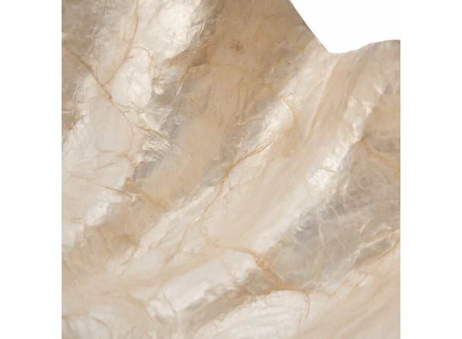 The Mother of Pearl Soap Dish - White - S