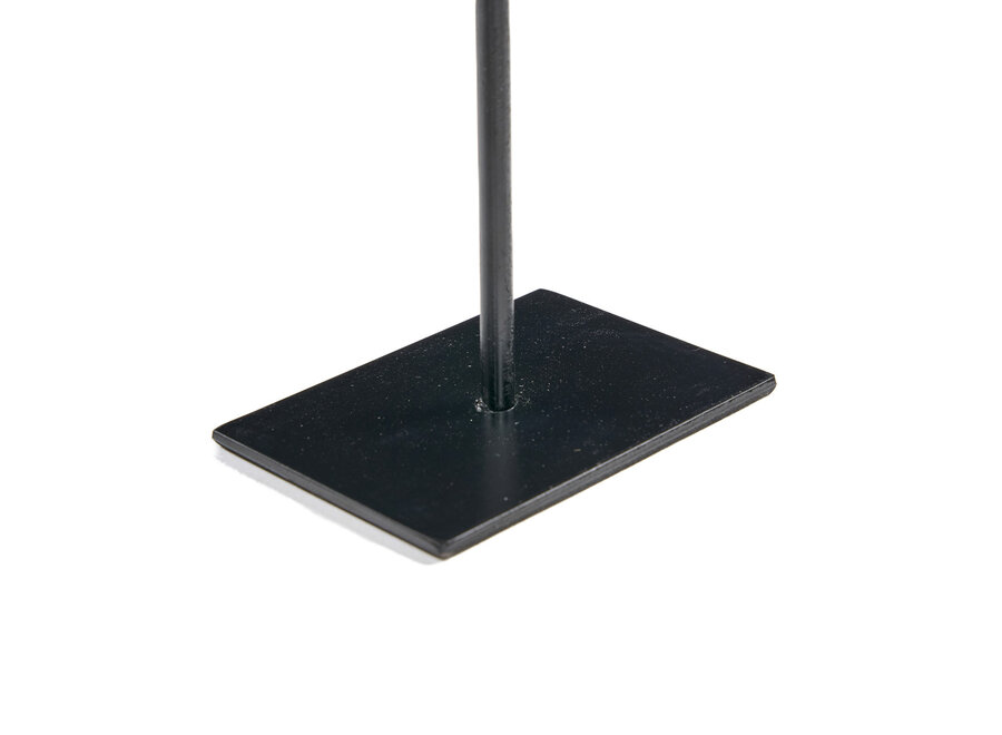 La Fish Pietra Su Supporto - S