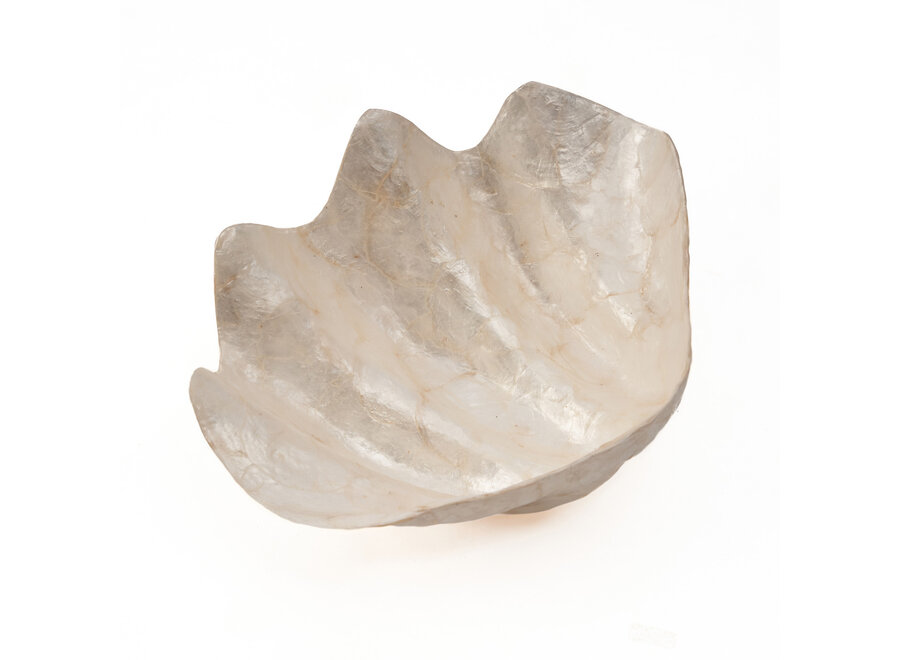 Die Mother of Pearl Seifenschale - Weiß - M