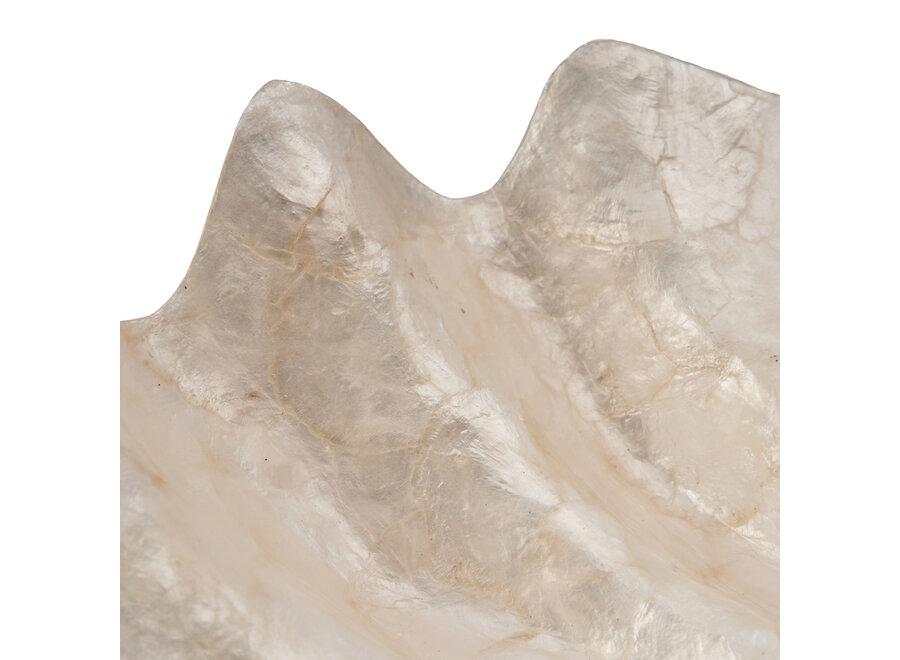 Die Mother of Pearl Seifenschale - Weiß - M