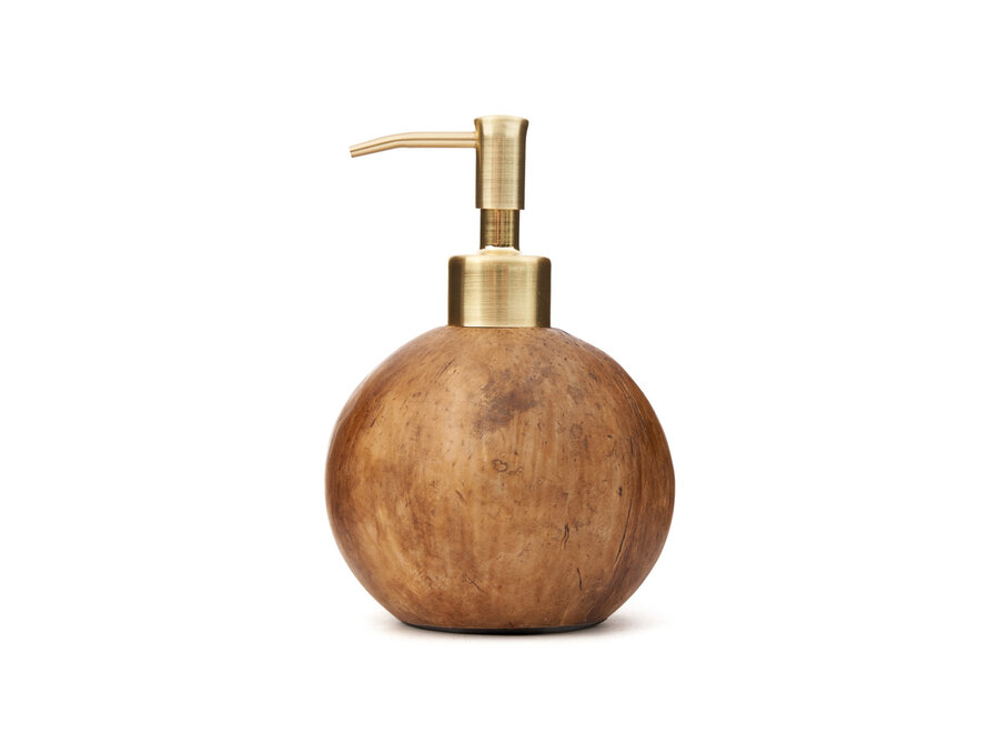 The Coconut Soap Dispenser