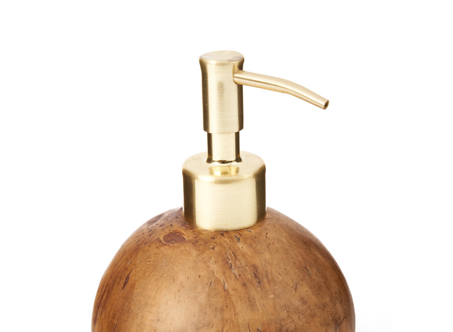 The Coconut Soap Dispenser