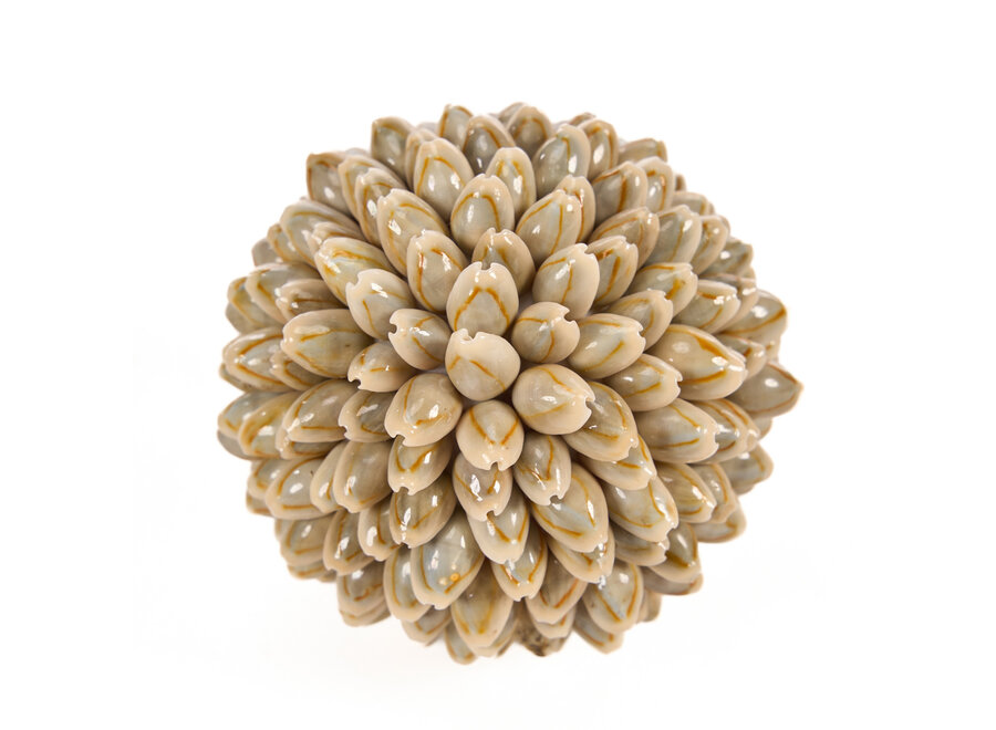 Die Oluolu Shell Kugel - S