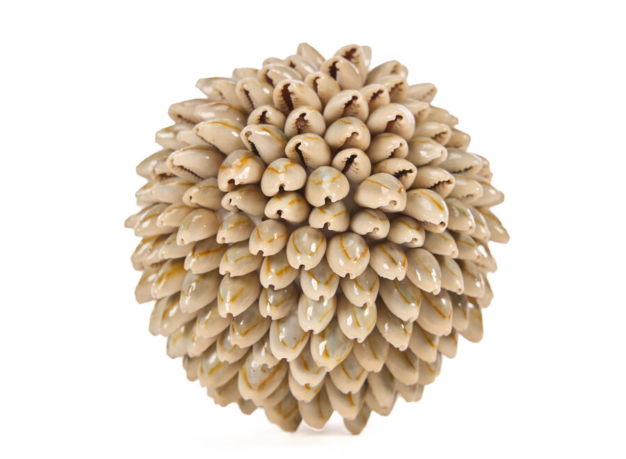 La Oluolu Shell Bola - S