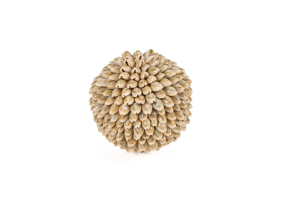 De Oluolu Shell Bal - M