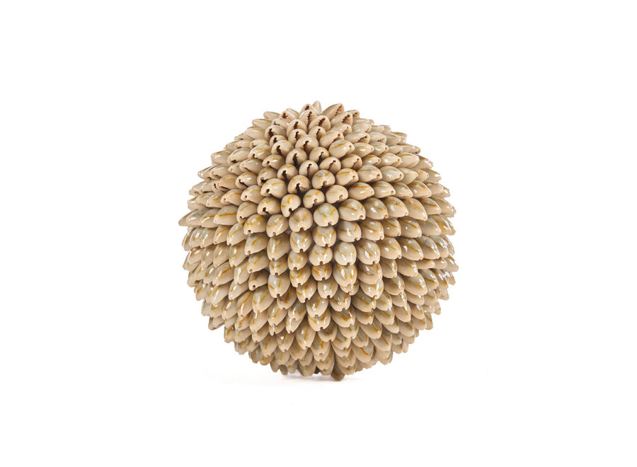 Die Oluolu Shell Kugel - L
