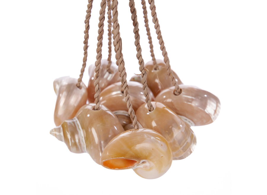 Le Gland En Coquillages Conque - Naturel