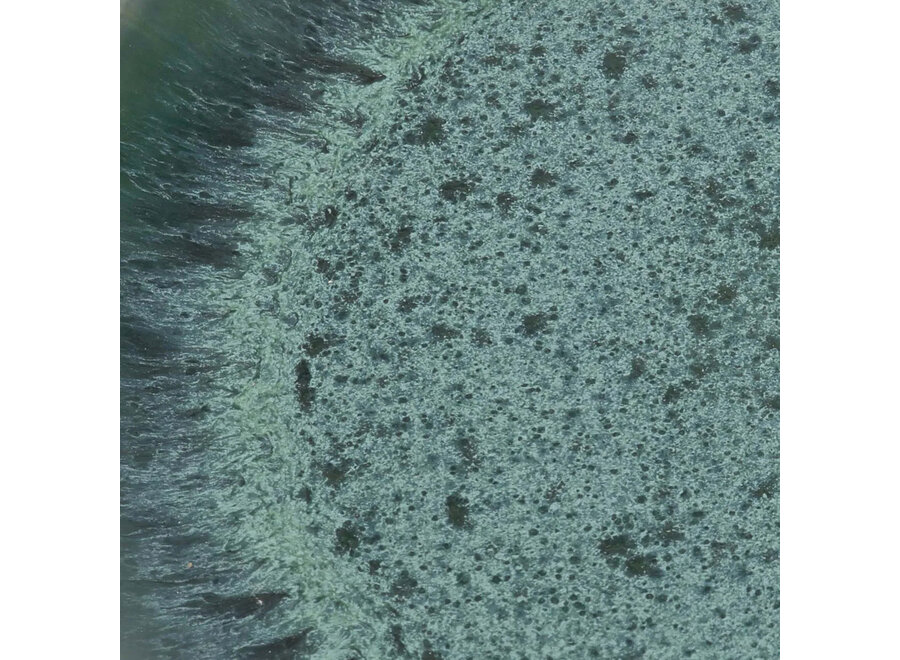 Il Piatto Da Insalata Aqua