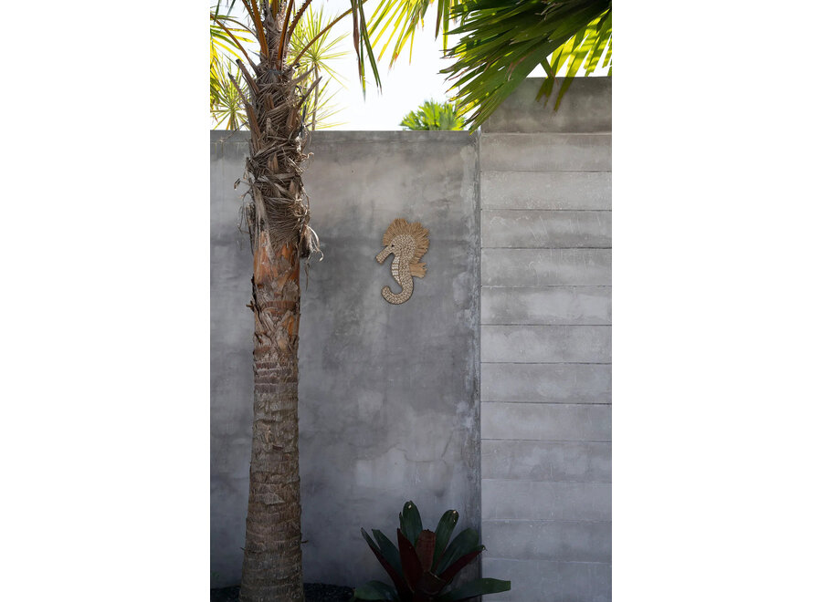The Shell Sea Horse - White
