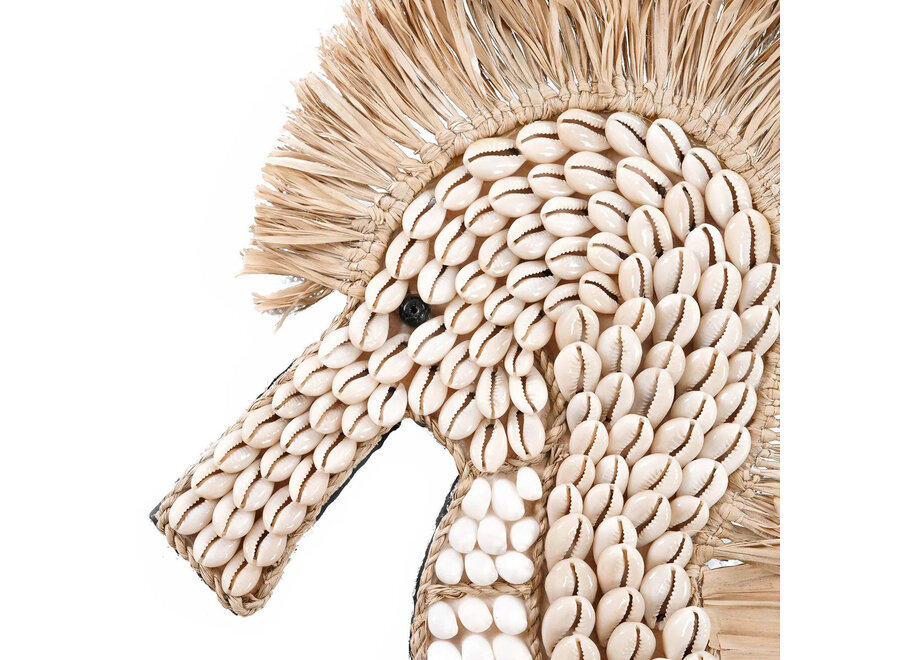 El Caballito de Mar de Concha - Blanco