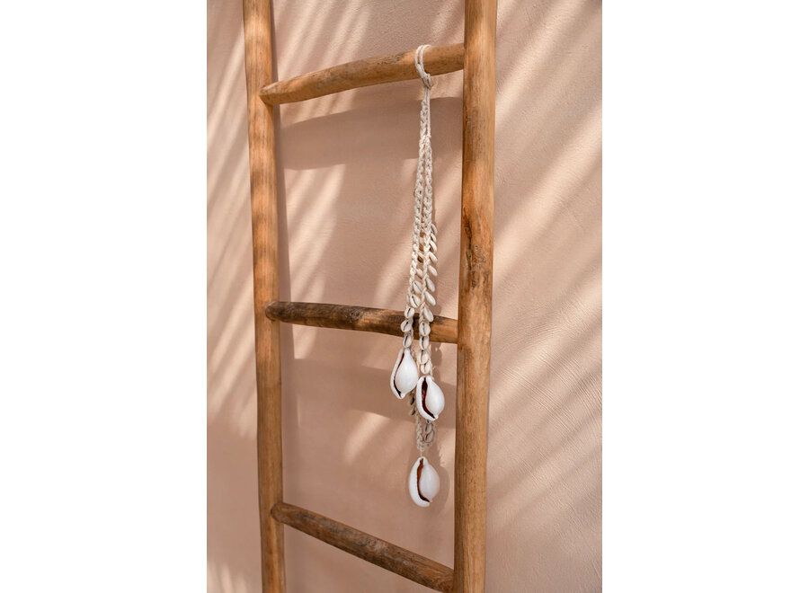 El Collar Big White Cowrie De Concha