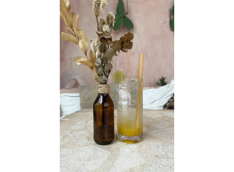 De Bamboe Rietjes - Set Van 10 Met Reinigingsborsteltje