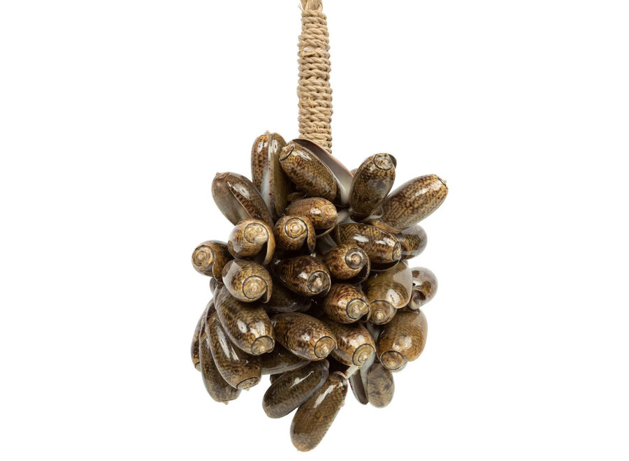 The Brown Cowrie Shell Tassel