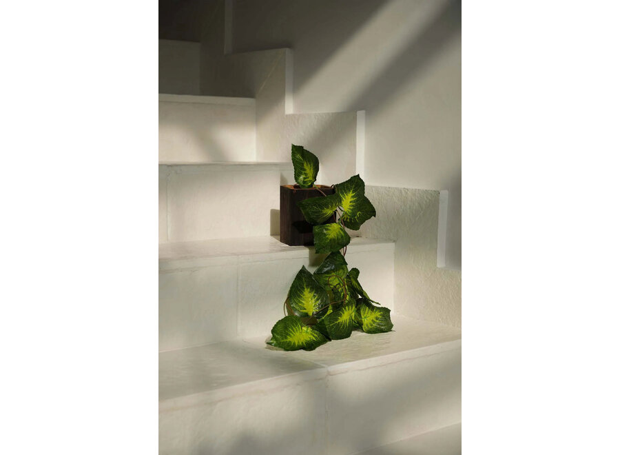 El Soporte Bondi #2 - Cuadrado