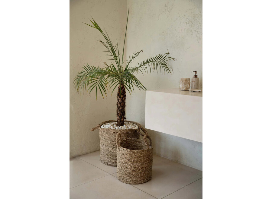 De Sensity Mand - Natural - XL