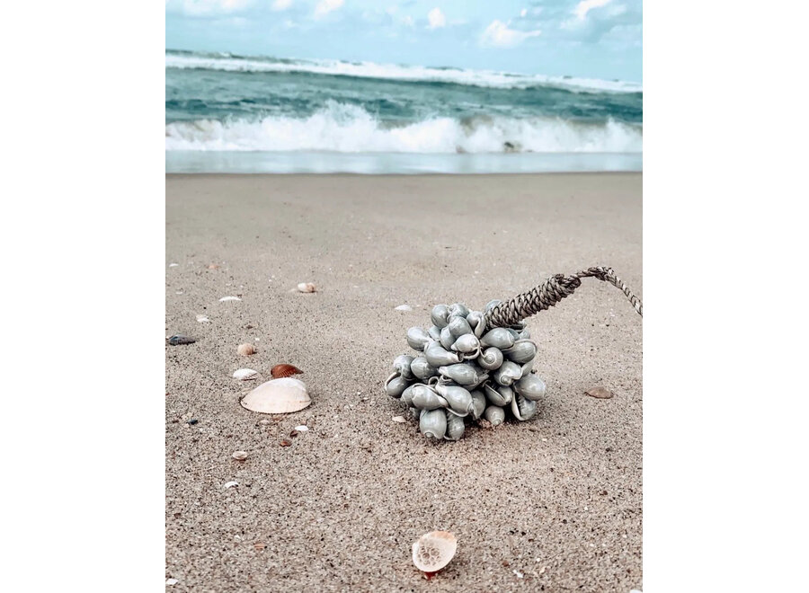 Le Pompon Coquillage Gris