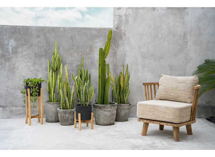 La Jardinera Carbón Baja - Negro Natural - S