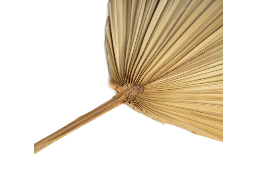 Das Rayung Blatt - Natur