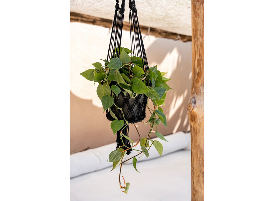 The Macrame Plant Holder - Black - L