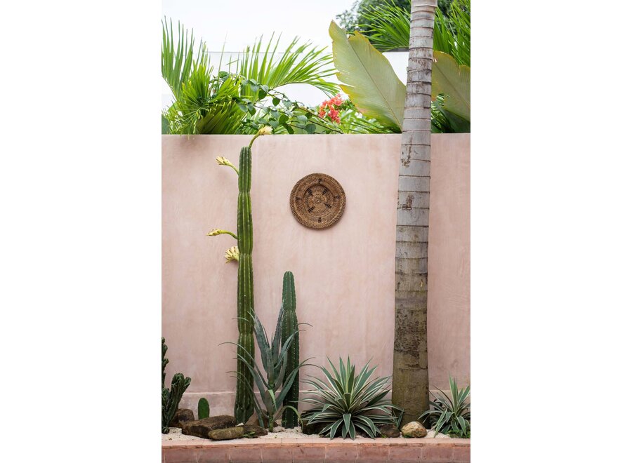 The Jasmine Plate - Brown - S