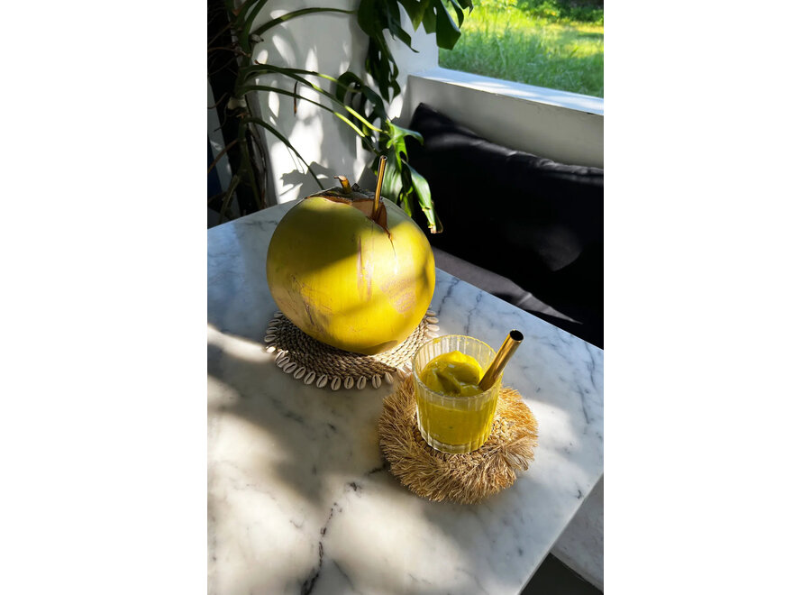 The Seagrass Shell Pan Coaster - Natural