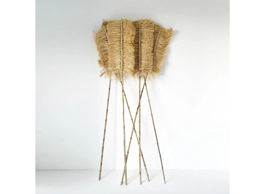 Die Raffia Palmeira - Natur