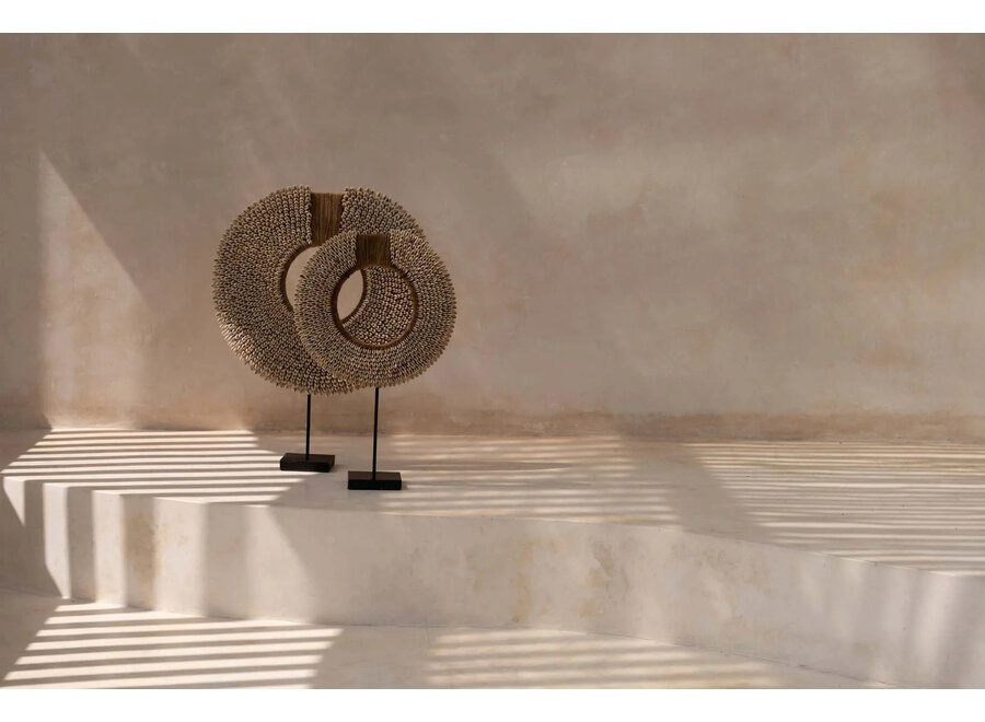 Die Muschel Corsica auf Ständer - Natur