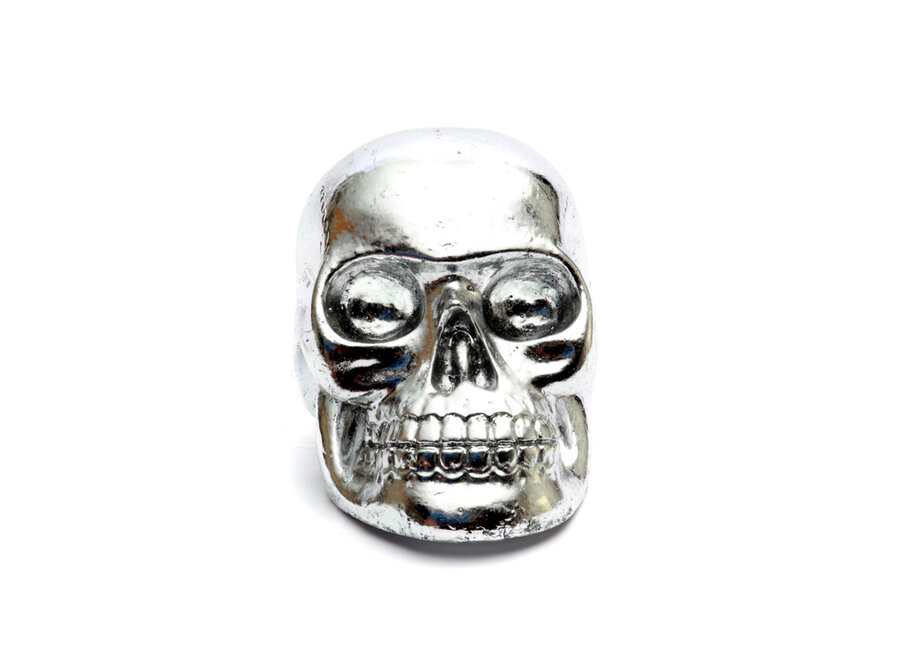 The Resin Skull Head Silver M