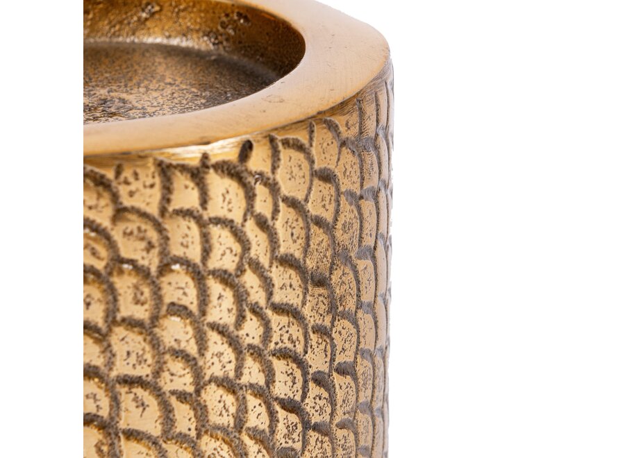 De Croco Kandelaar - Messing - L