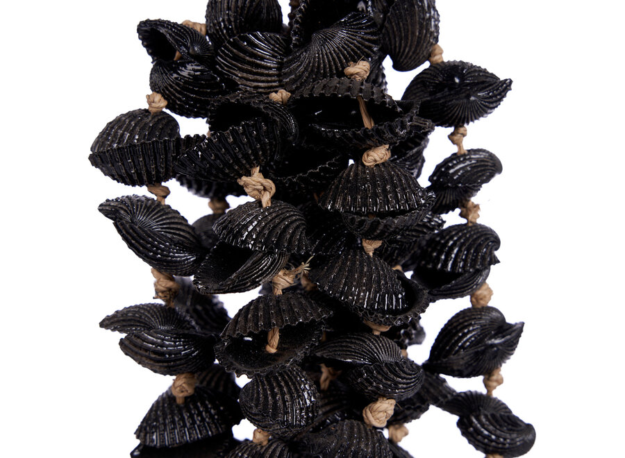 Le Gland En Coquillages Midnight - Noir