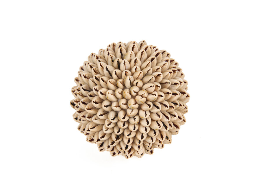 De Oluolu Shell Bal - M