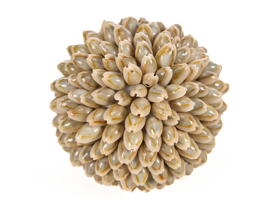 Die Oluolu Shell Kugel - M