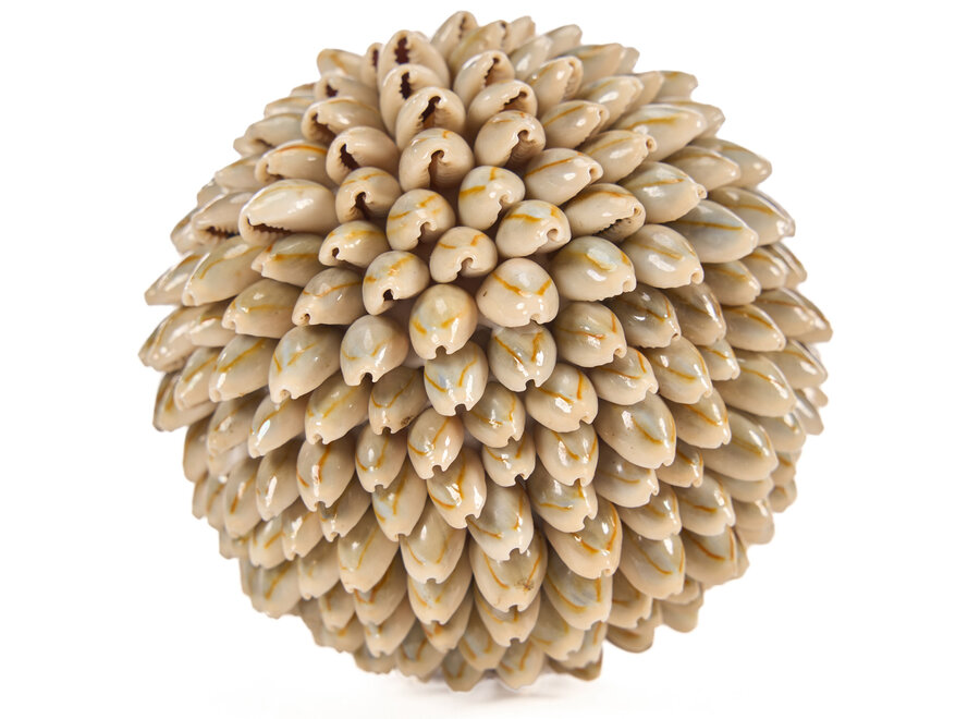 The Oluolu Shell Ball - M