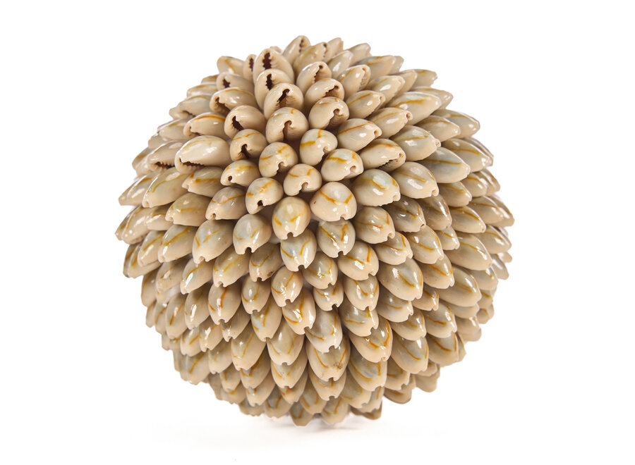 De Oluolu Shell Bal - M