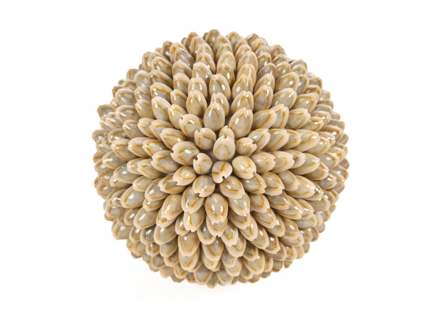 La Oluolu Shell Balle - L