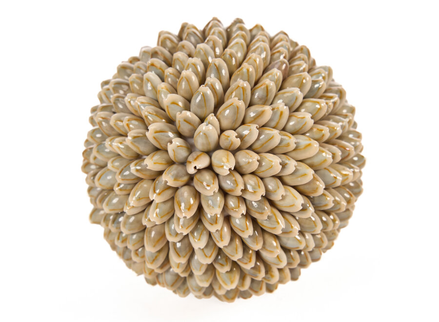 La Oluolu Shell Bola - L