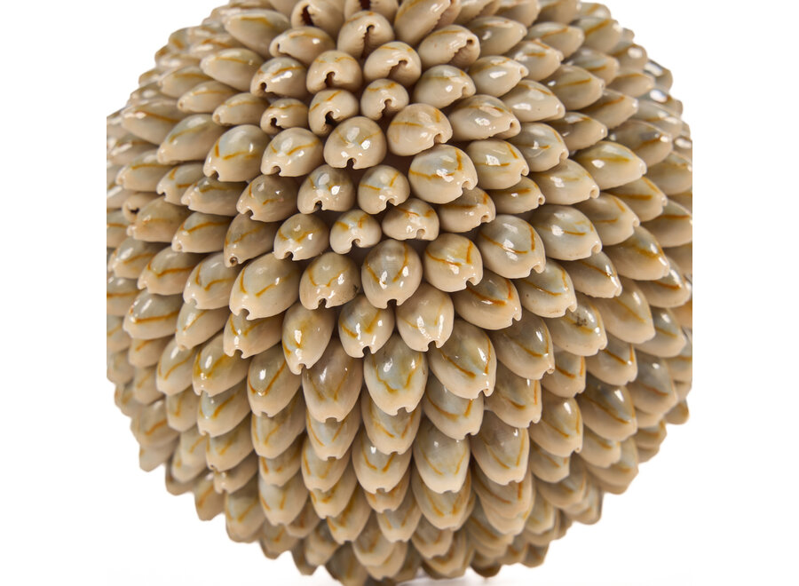 De Oluolu Shell Bal - L