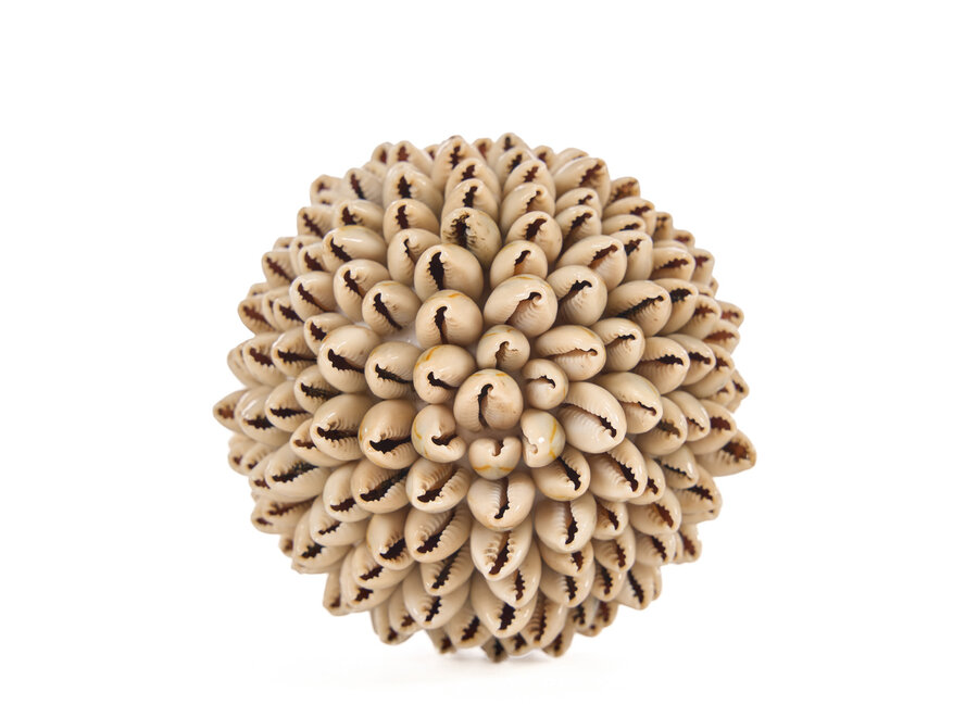 La Oluolu Shell Sfera - S