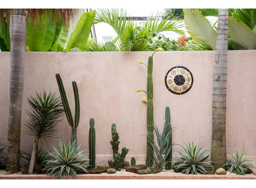 The Cozumel Plate - Small