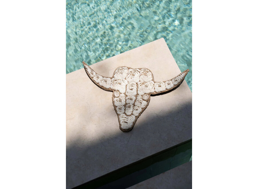 Die Bull Shell - Weiss