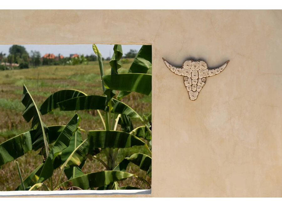 The Bull Shell - White