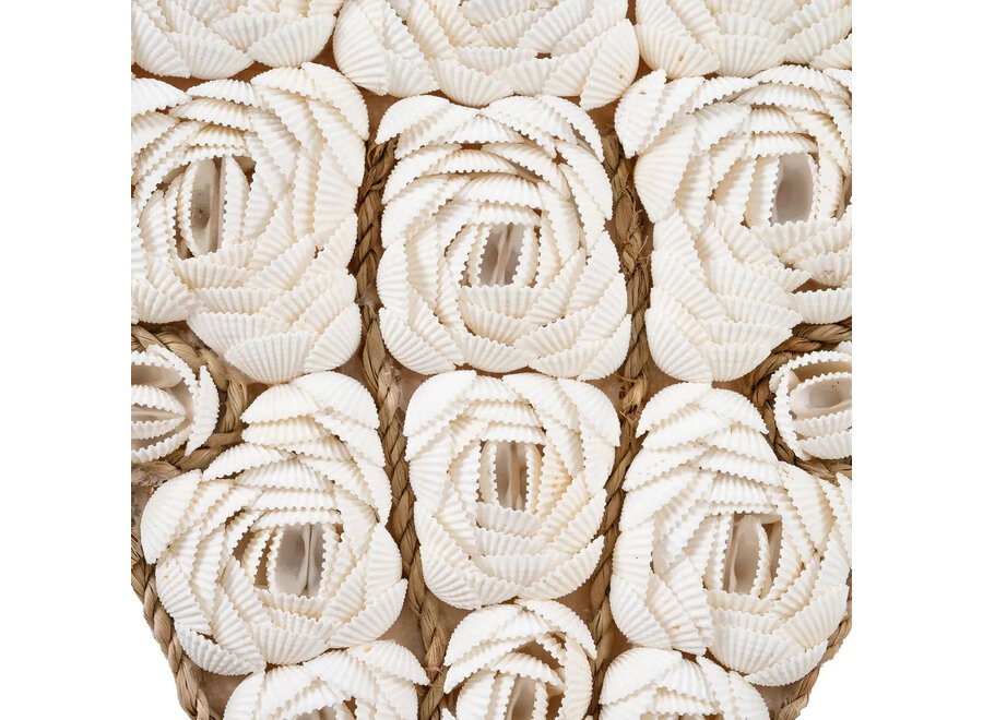 La Conchiglia del Toro - Bianco