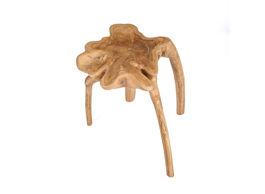 The Rooty Side Table - Natural