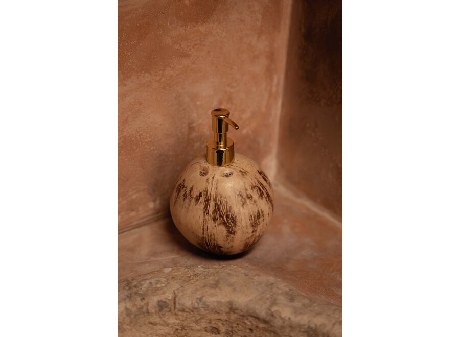 The Coconut Soap Dispenser