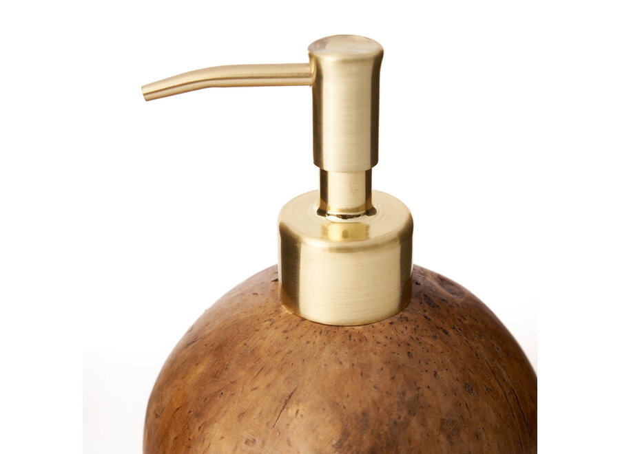 Il Dispenser Di Sapone In Cocco