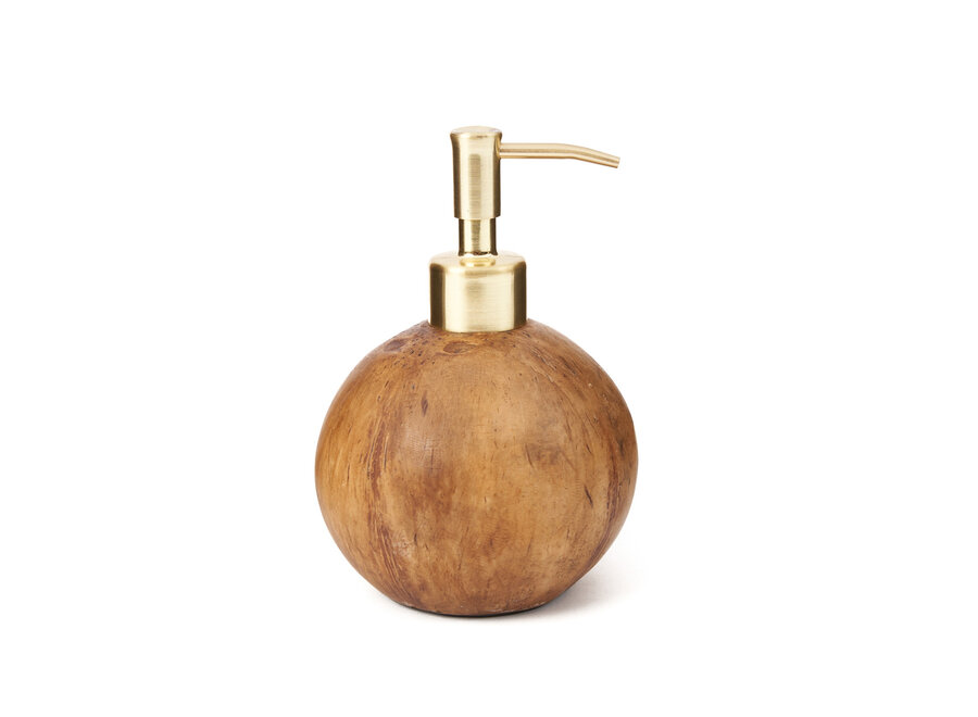 The Coconut Soap Dispenser