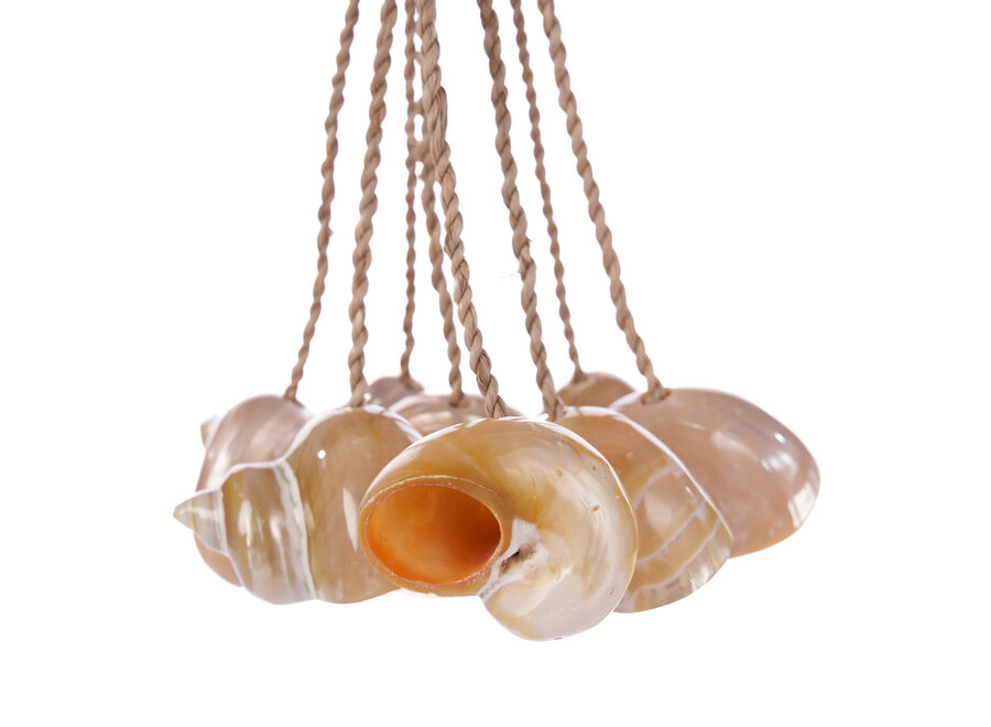 De Conch Schelpen Kwast - Natuurlijk