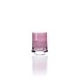 The DOF Tumbler - Purple