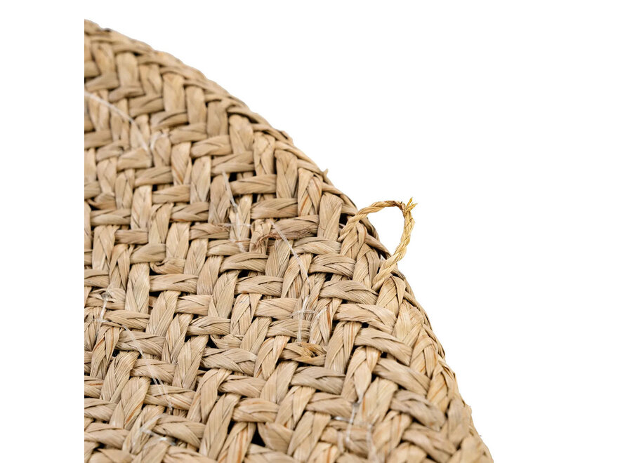 The Costa Shell Plate - Natural White - M