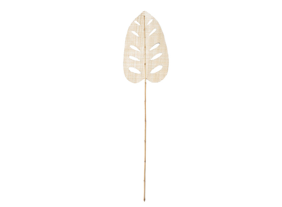 Die Water Hyacinth Leaf - Natur